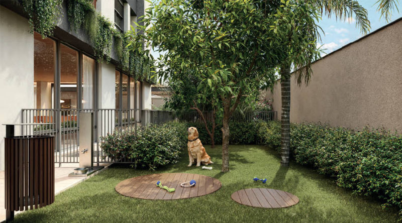 NUV Moema - Pet Place